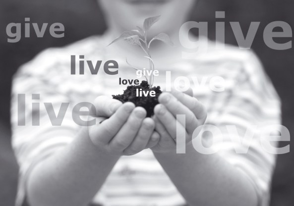 As seen on Restore Church