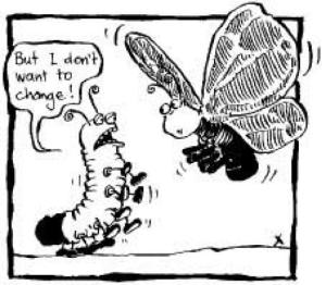 As seen on Gather...